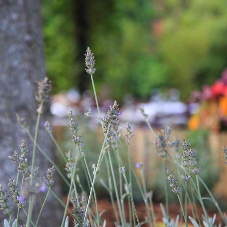 Podere La Miniera Relax & Food Siena Eksteriør bilde