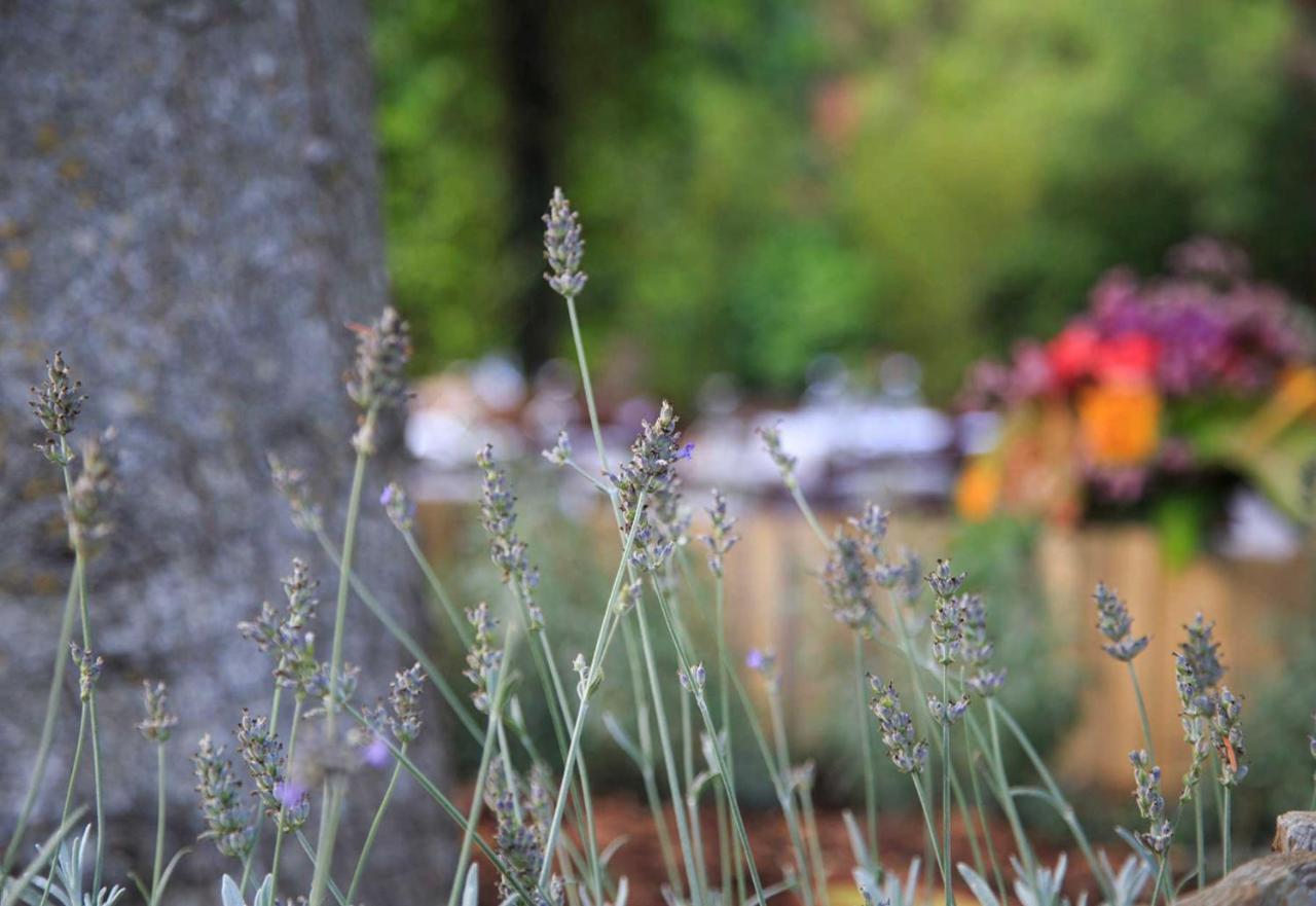 Podere La Miniera Relax & Food Siena Eksteriør bilde